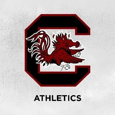 @gamecocksonline profile image