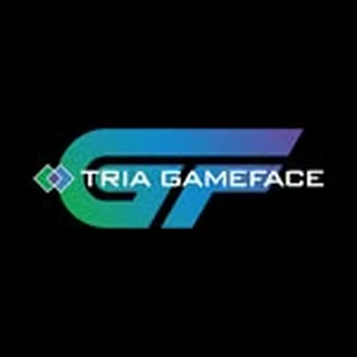 @gamefacetraining profile image