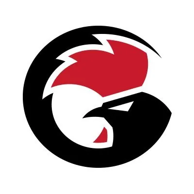 @gamesirofficial profile image