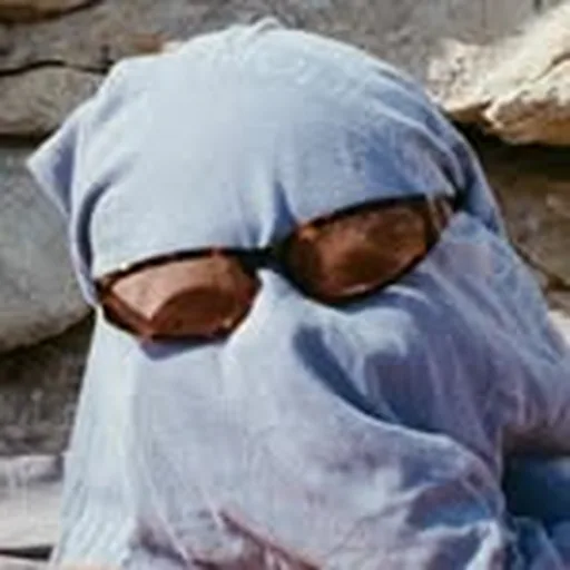 @gang.box profile image