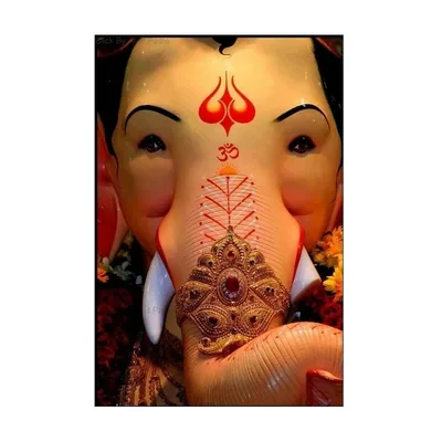 @ganpati_bappa_india profile image