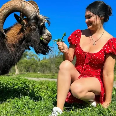 @gardencookingasmr profile image