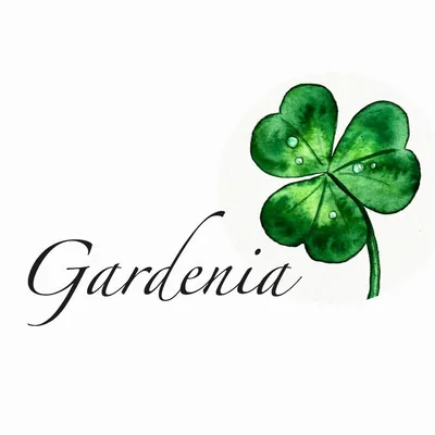 @gardenia.az profile image