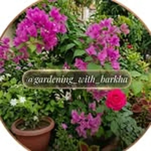 @gardening_with_barkha profile image