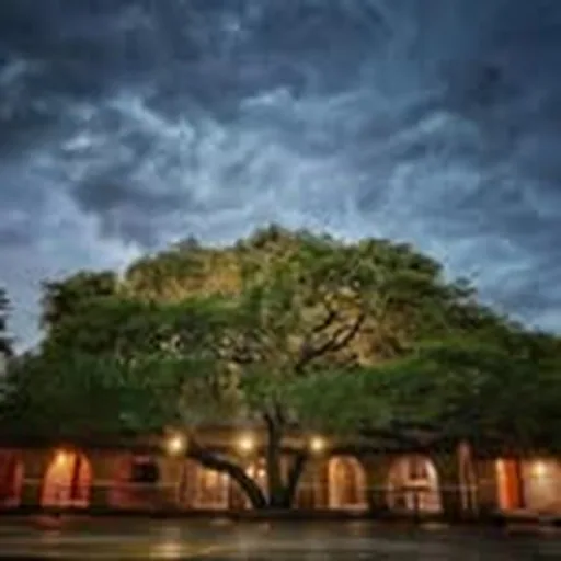 @garnerstateparktx profile image