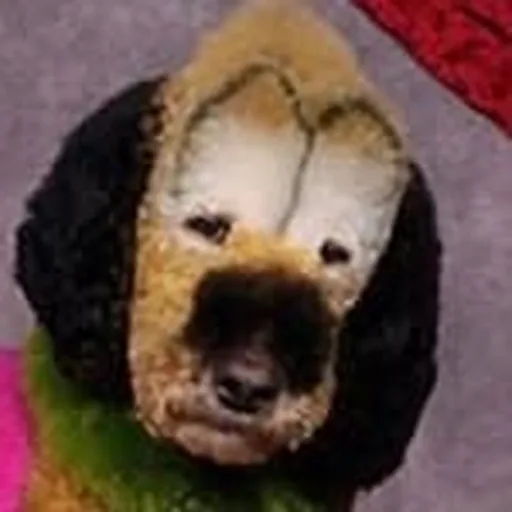 @gasius profile image