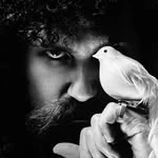 @gaslampkiller profile image
