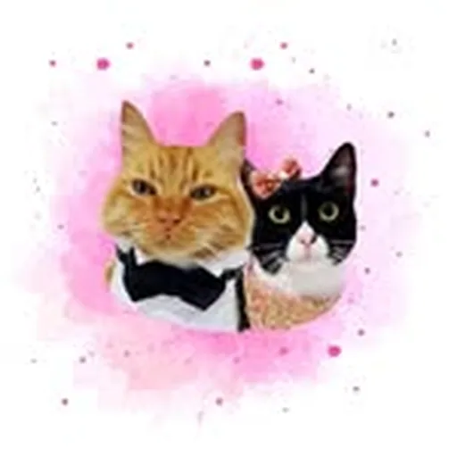 @gatino_halle profile image