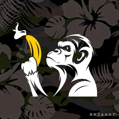 @gatmonkey profile image