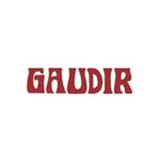 @gaudirswim profile image