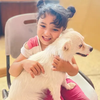 @gazaanimalrescues profile image