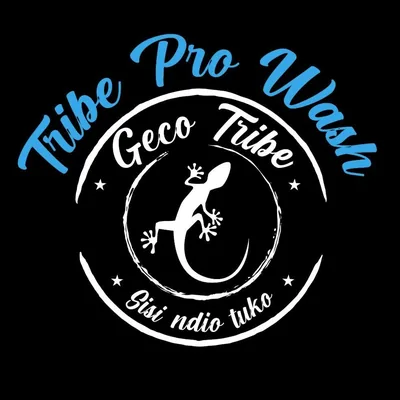 @gecotribewash profile image