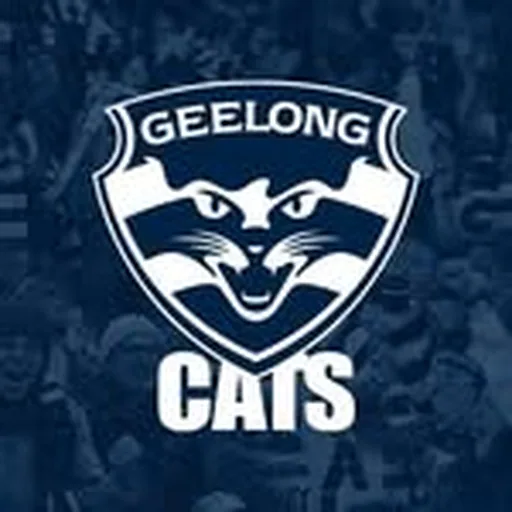 @geelongvfl.vflw profile image
