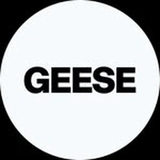 @geesebandnyc profile image