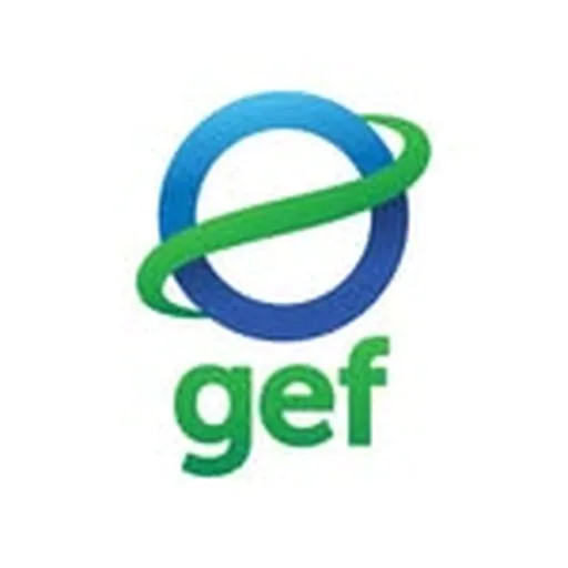 @gef_global_environment profile image