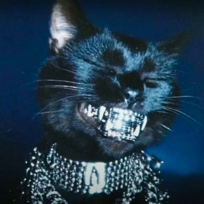@gennuhcide profile image