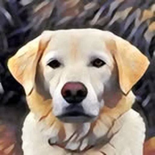 @geobeatsanimals profile image