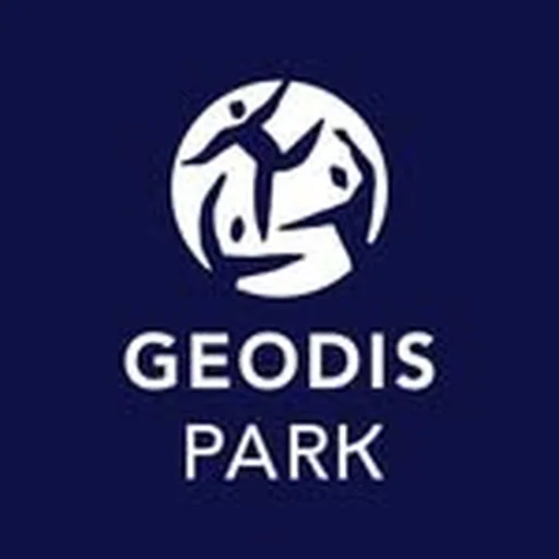 @geodispark profile image