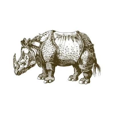@geographia.restaurante profile image