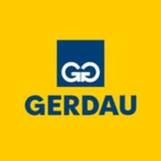 @gerdau profile image