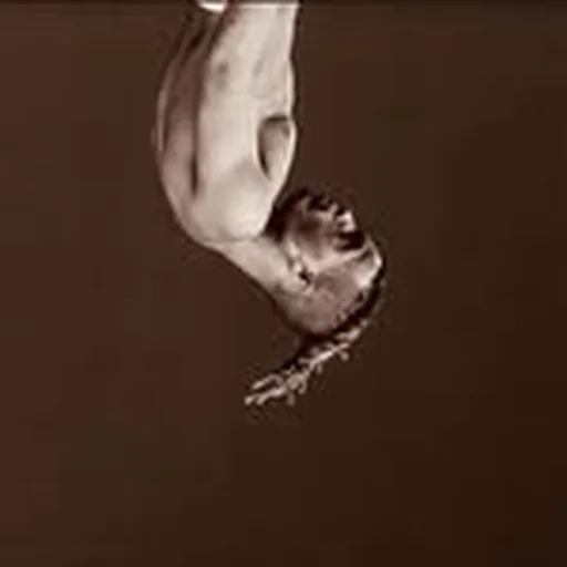 @ghost_outfit__ profile image