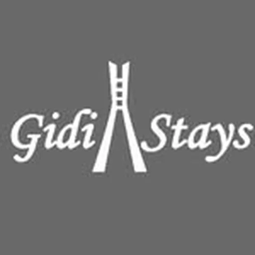 @gidi.stays profile image