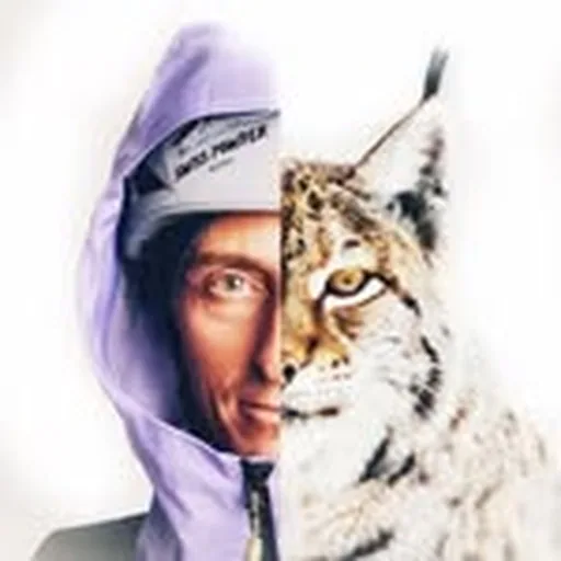 @gillesleskieur profile image