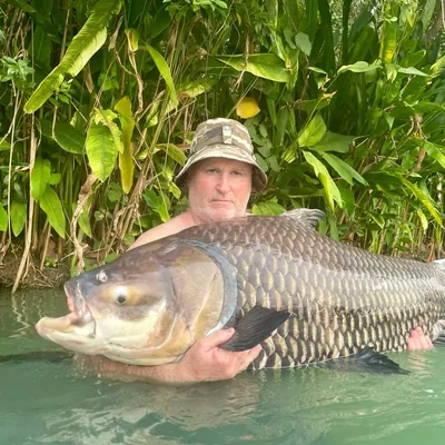 @gillhams_fishing_resorts profile image