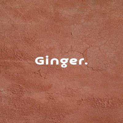 @ginger.bodylab profile image