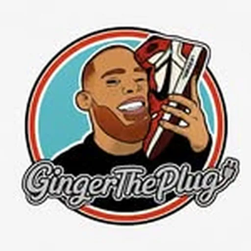 @gingertheplug profile image