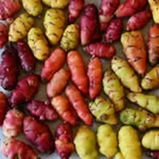 @girlndugfarm profile image