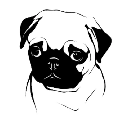 @givepuglove profile image