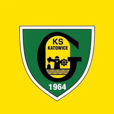 @gksgieksakatowice profile image