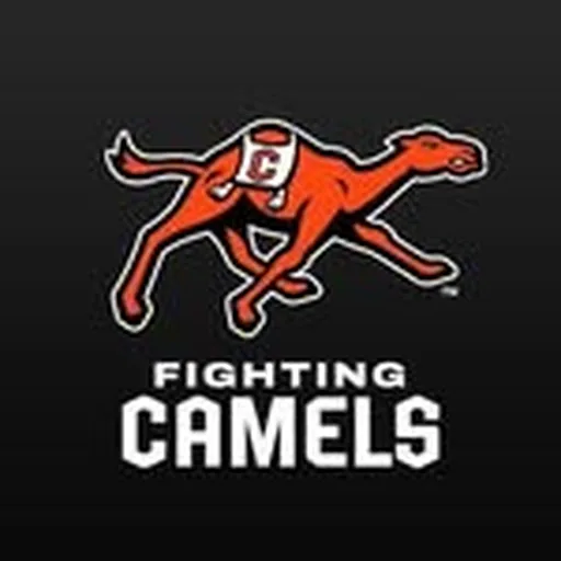 @gocamels profile image