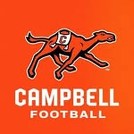 @gocamelsfb profile image