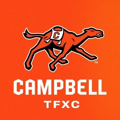 @gocamelstfxc profile image
