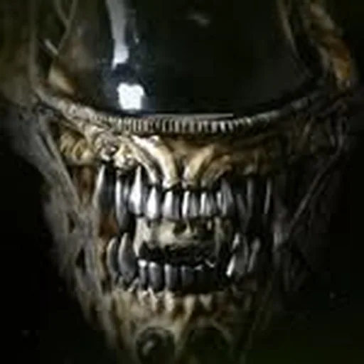 @goetzyyy profile image