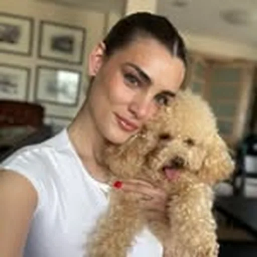 @gojkovicc profile image