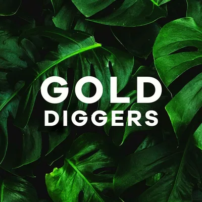 @golddiggersmx profile image