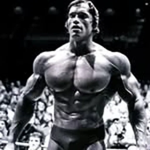 @golden_era_of_bodybuilding profile image