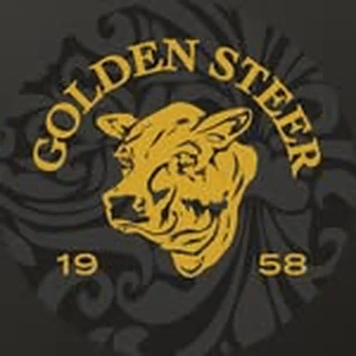 @goldensteer profile image