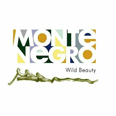 @gomontenegro profile image