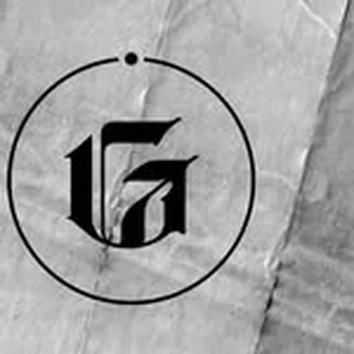 @gone.archive profile image