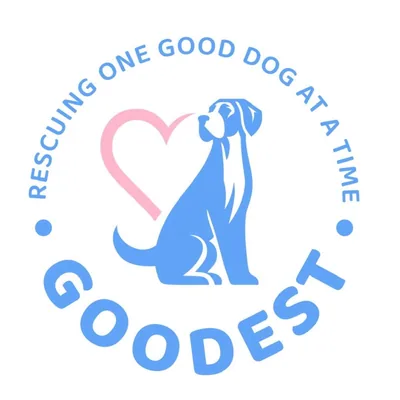 @goodestdanerescue profile image