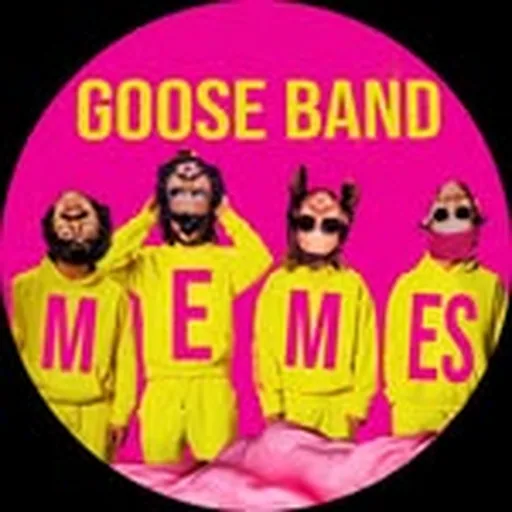 @goose_band_memes profile image