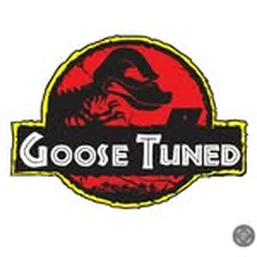 @goosetuned profile image