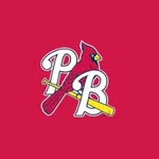 @gopbcardinals profile image