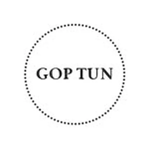 @goptun profile image
