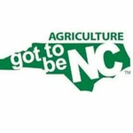 @gottobenc profile image