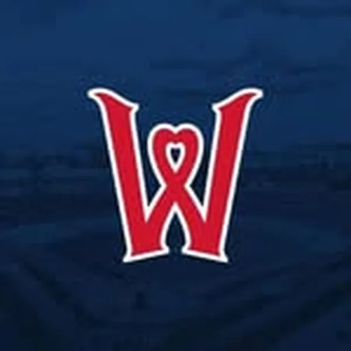 @gowoosox profile image